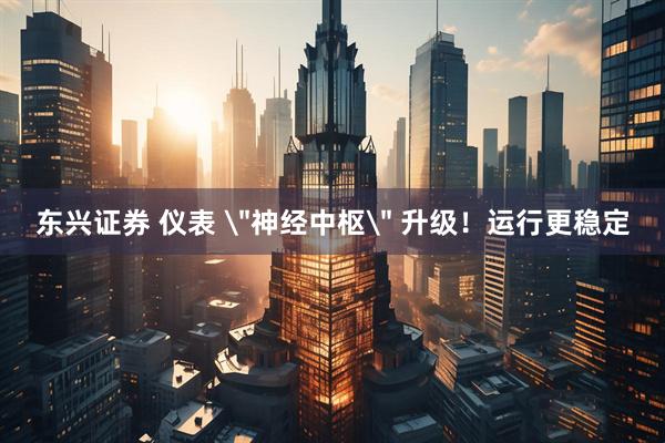 东兴证券 仪表 ＂神经中枢＂ 升级！运行更稳定