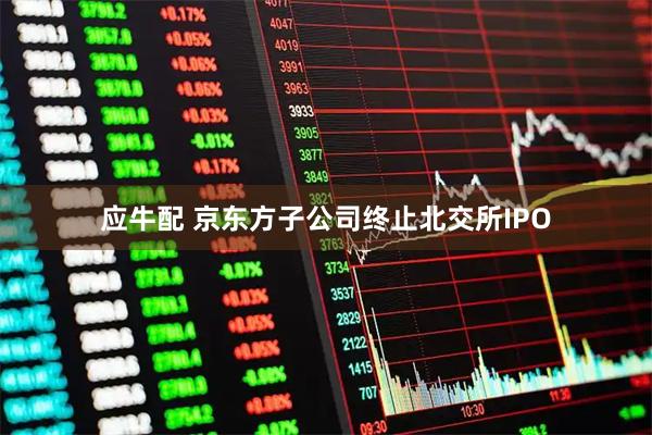 应牛配 京东方子公司终止北交所IPO